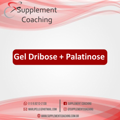 KRAFT -GEL  D-RIBOSE + PALATINOSE