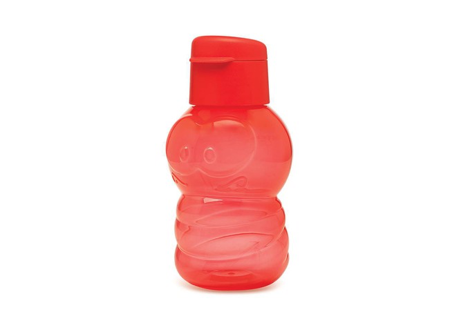 Eco Kids Minhoca