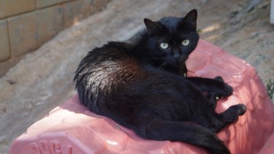 Sacolinha de Natal para a Surpresa