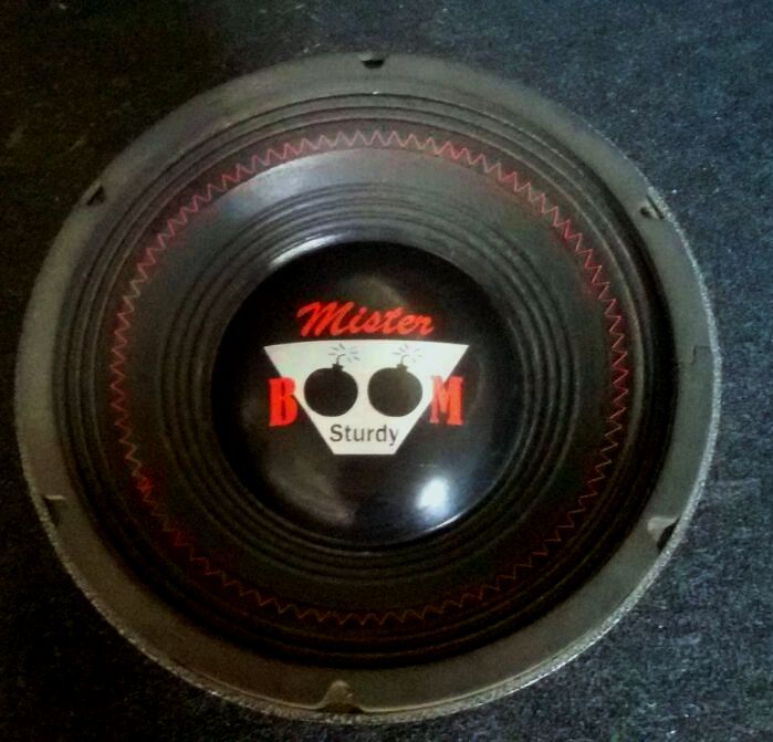 WOOFER STURDY PRO 12