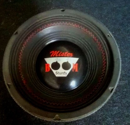 WOOFER STURDY PRO 12