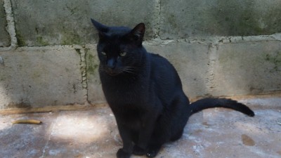 Sacolinha de Natal para o Félix