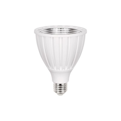 Par 30 CDMR LED