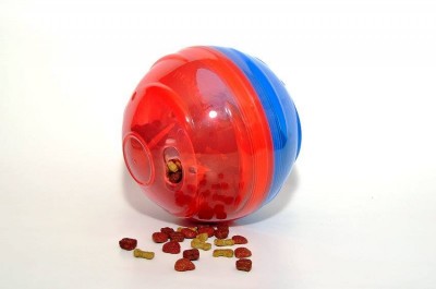Big Pet Ball