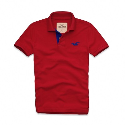 POLO HOLLISTER