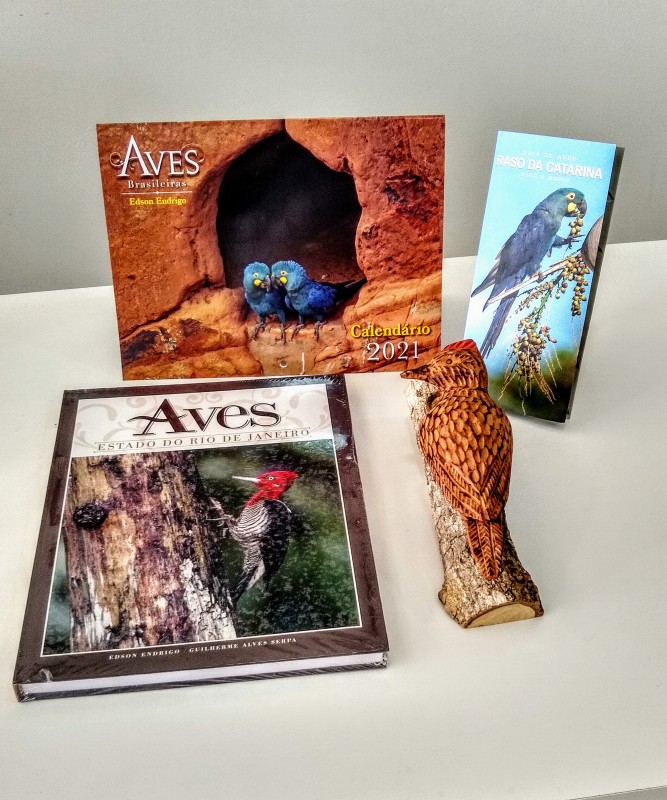 KIT: LIVRO AVES DO ESTADO DO RIO DE JANEIRO, CALENDÁRIO 2021 AVES BRASILEIRAS, GUIA AVES DA CAATINGA E PICA- PAU NO TRONCO PENDURAR