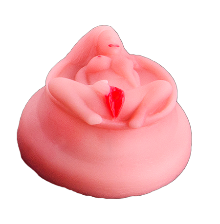 Tampa Latas Vagina