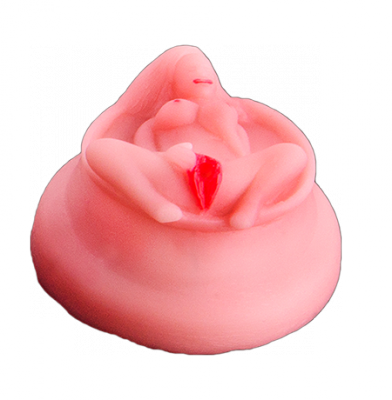 Tampa Latas Vagina