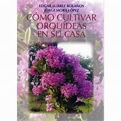 Como Cultivar Orquideas
