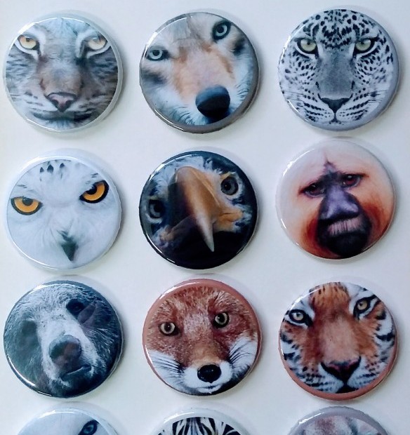 Cartela de botons - Animais