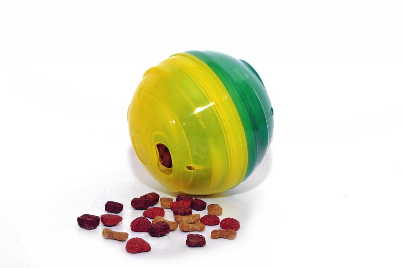 Mini Pet Ball