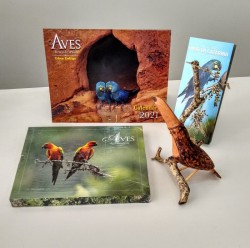 KIT: LIVRO AVES DO PAMPA, CALENDÁRIO 2021 AVES BRASILEIRAS,GUIA AVES DA CAATINGA E TUCANO NO GALHO DE PENDURAR 1 