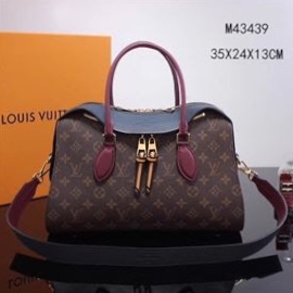 Louis Vuitton Monogram Catogram Grace Neverfull MM M44459