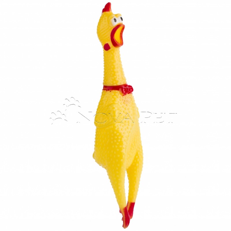 GALINHA COM APITO - Tam G