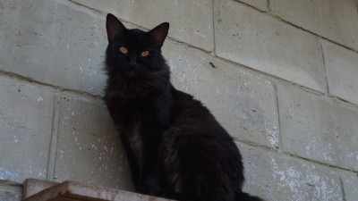 Sacolinha de Natal para o Moreno