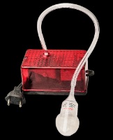 Bomba Clitoriana - 220 V