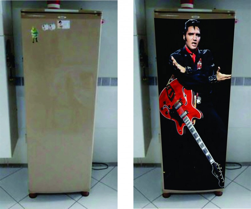 envelopamento de geladeira porta unica elvis plasley