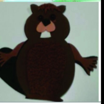 Castor em EVA