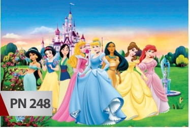 Painel de Festa - Princesas Disney (Aluguel)