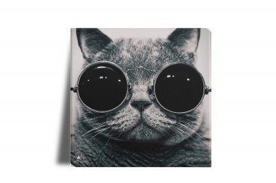 Azulejo Decorativo Gato de Óculos