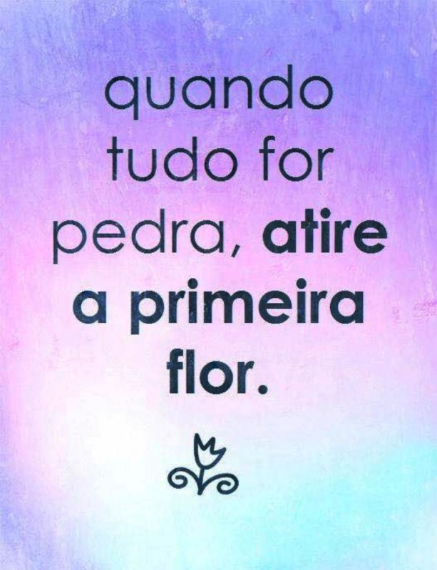 Quadro Alta definição Atire a Primeira Flor