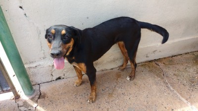 Ajude a PIETRA MARIA por um ano!