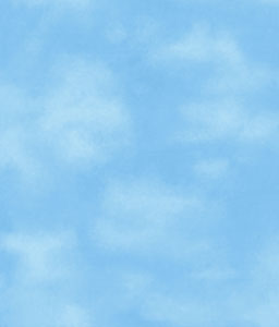Papel de Parede - York II - DK5869