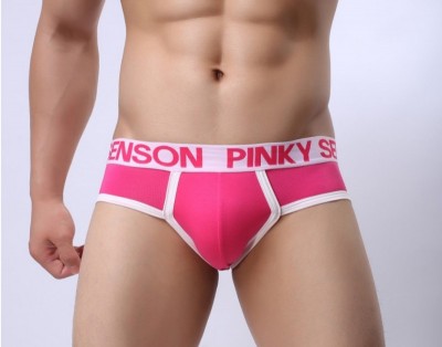Lançamento - Cueca Sunga Underwear Bolsa PINKY SENSON