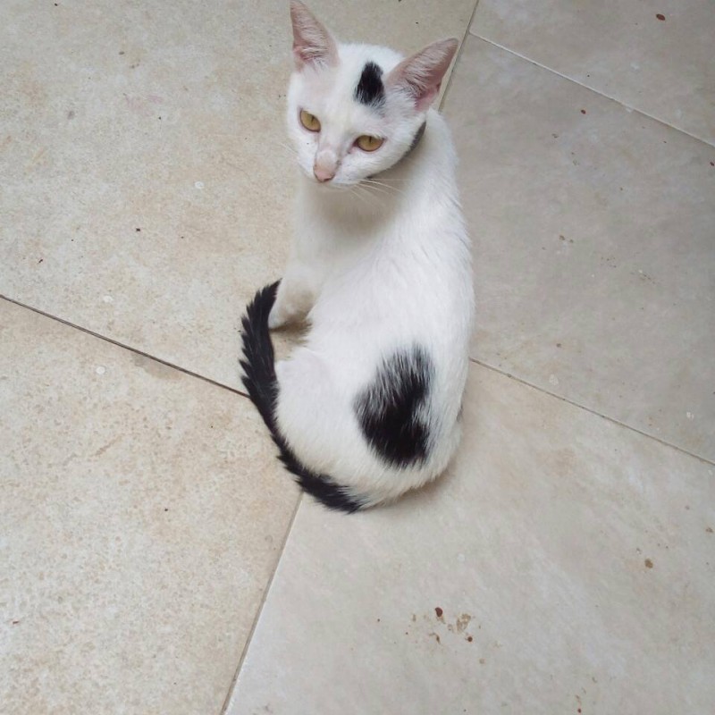 Ajude a Júlia por um ano!