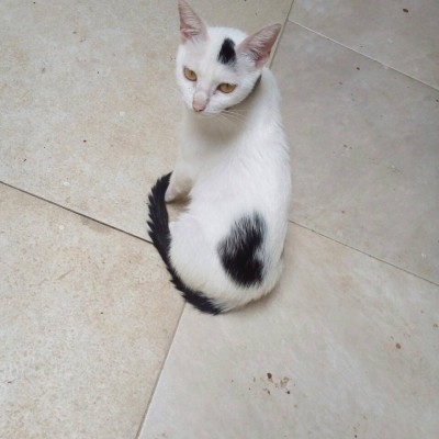Ajude a Júlia por um ano!